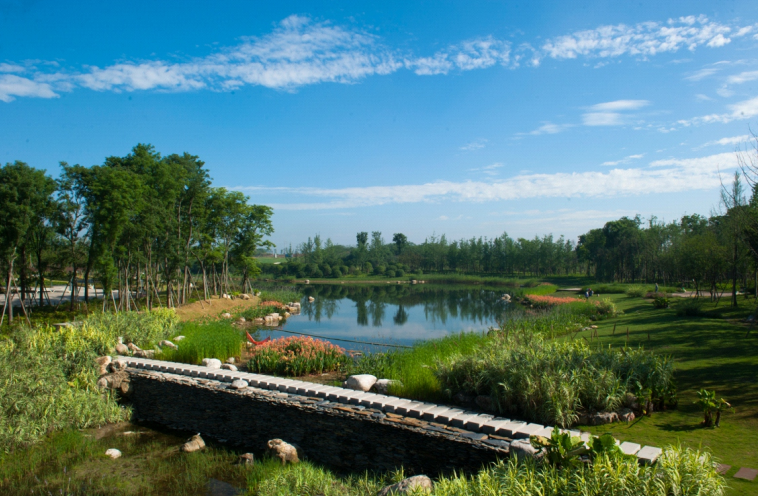 1665822383997086.png image.png