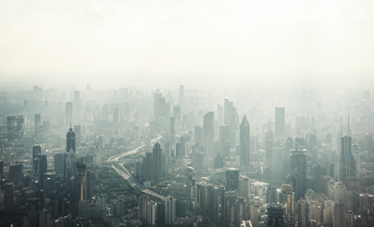 1666417086791932.png image.png