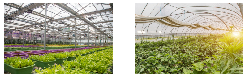 1666496185618683.png image.png