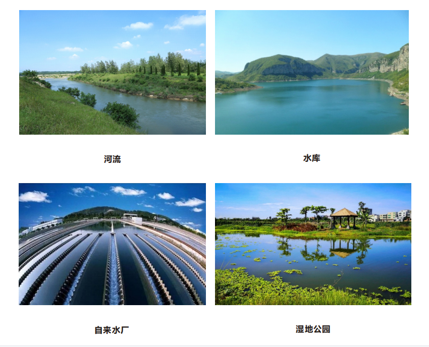 1679652370697236.png 6.png