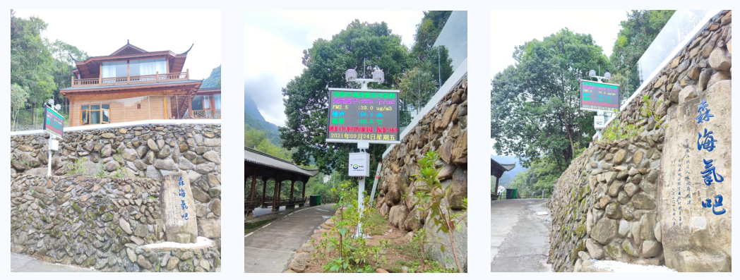 1732936686876640.png 森海負(fù)氧離子.png